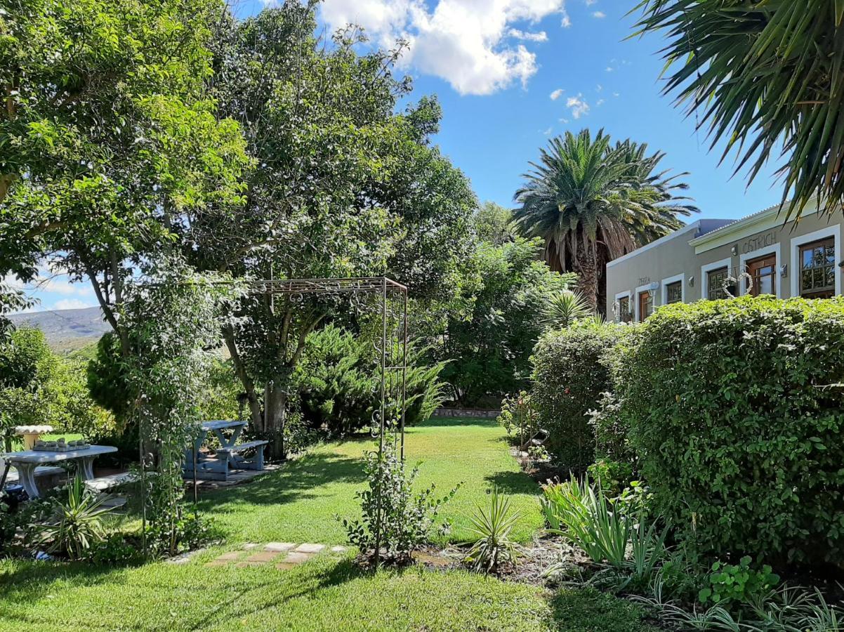 Karoo Life B&B Calitzdorp Buitenkant foto