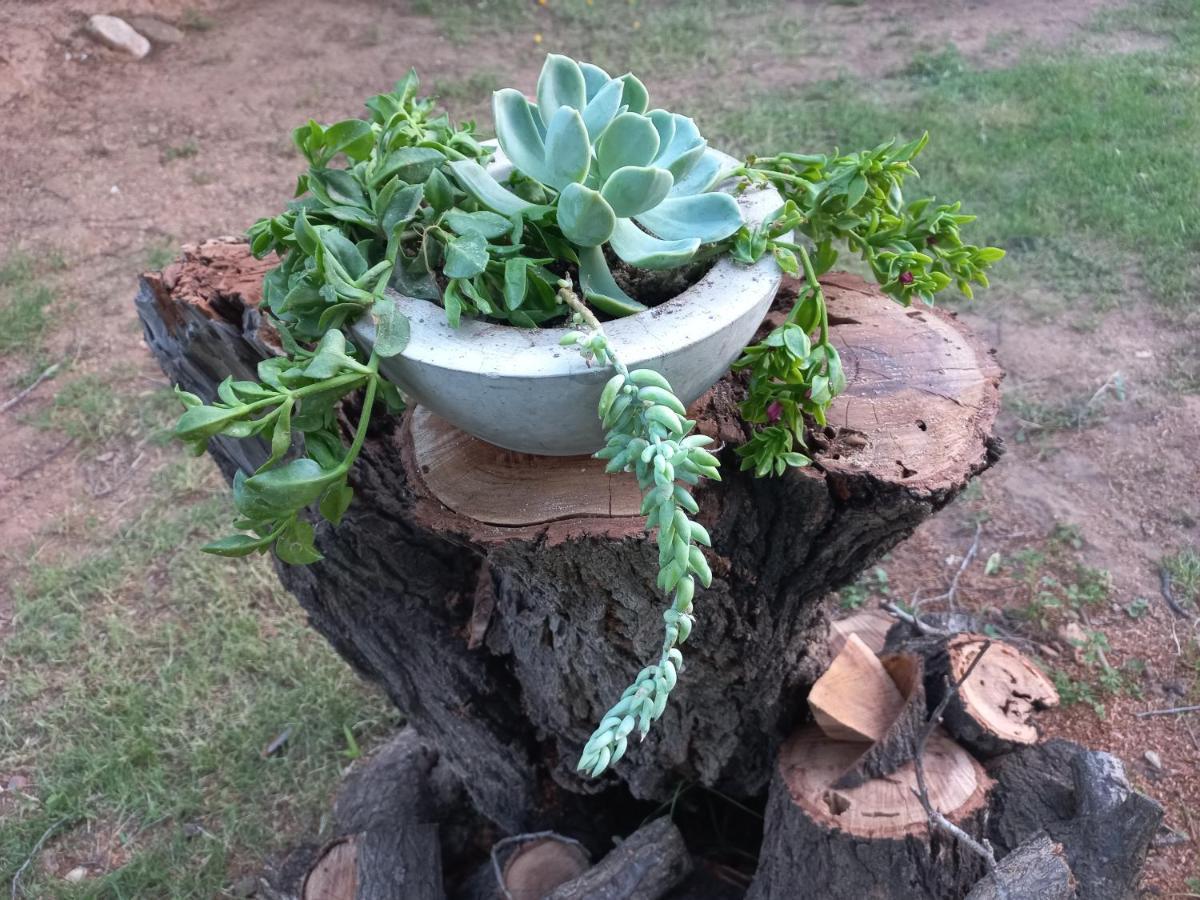 Karoo Life B&B Calitzdorp Buitenkant foto